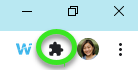 Extensions icon